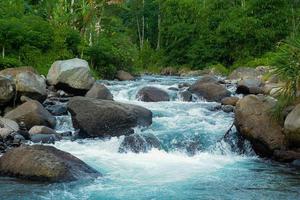 The river flow is very clear and beautiful. in Jember, East Java, Kali Jompo photo