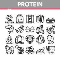 conjunto de iconos de colección de nutrición de alimentos proteicos vector