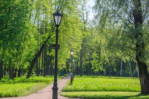 linternas en el parque, un paseo de verano en el parque foto