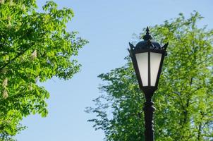 street lamp in the park close-up photo