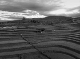 Aerial view of rice field terraces under Barisan Mountain at sunrise photo