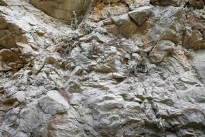 Part of layered rock formation with uneven surface and small plants in cracks. photo