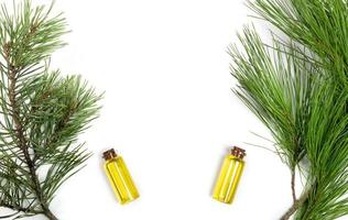 Aromatic essential cedar oils in small glass bottles with cedar and pine branches on white. photo