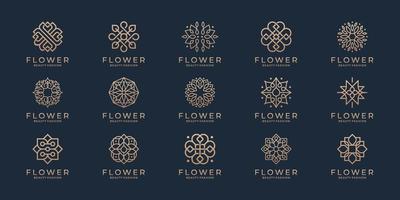logotipo de ornamento floral y conjunto de iconos. colección de diseño de logotipo de flor de belleza abstracta. vector
