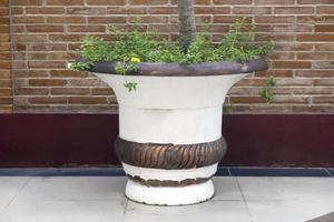 large flower pot suitable for small trees in city parks photo