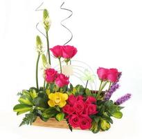 Floral gift arrangement made with red roses with long stems and yellow flowers inside a wooden pot on white background photo