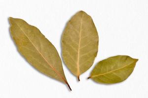 Top view of three bay leaves on white background photo
