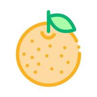 Orange Citrus Icon Vector Outline Illustration