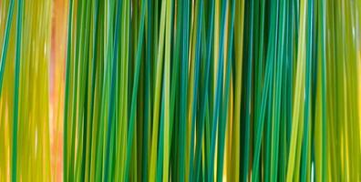 Green and yellow pattern of ribbon or rubber for background. Art abstract of line. photo