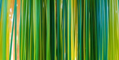 Green and yellow pattern of ribbon or rubber for background. Art abstract of line. photo