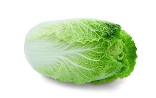 Fresh organic Chinese cabbage on a white background photo