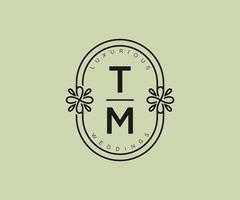 TM Initials letter Wedding monogram logos template, hand drawn modern minimalistic and floral templates for Invitation cards, Save the Date, elegant identity. vector