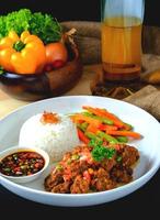 Chicken with rice, sauce and vegetables. Sauteed meat served with rice, sauce and salad photo