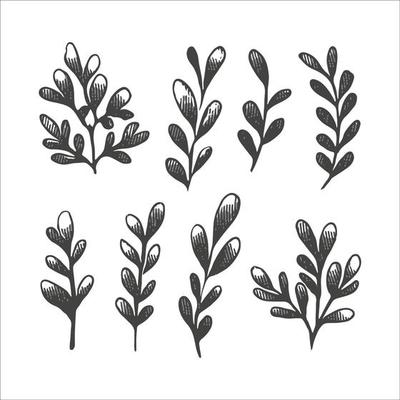 Tree Branch Silhouette Vector Art, Icons, and Graphics for Free Download