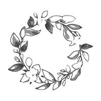 Art collection of natural floral herbal leaves flowers in silhouette style. Decorative beauty elegant illustration for hand drawn floral design vector