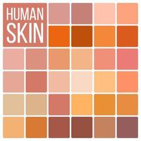 Human Skin Vector. Various Body Tones Chart. Realistic Texture Palette. Color. Cosmetic Graphic Element. Illustration vector