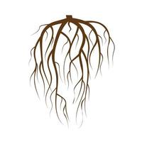 Tree Underground Roots Vector. Brown Tree Root On White Background Flat Isolated Illustration vector