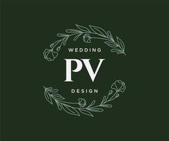 colección de logotipos de monograma de boda con letras iniciales pv, plantillas florales y minimalistas modernas dibujadas a mano para tarjetas de invitación, guardar la fecha, identidad elegante para restaurante, boutique, café en vector