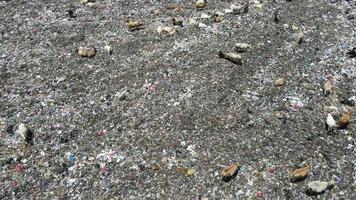 vista aérea de un centro de basura de la ciudad lleno de basura. rebaño de vacas comiendo basura en un vertedero. problemas de ecología y salud. video