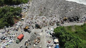 vista aérea de um centro de despejo da cidade cheio de lixo. rebanho de vacas comendo lixo em um aterro sanitário. questões de ecologia e saúde. video