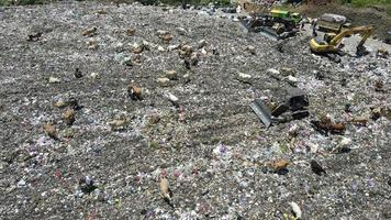 Aerial view of a city dump center full of trash. Herd of cows eating garbage in a landfill. Ecology and health issues. video