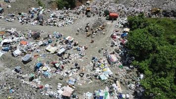 vue aérienne d'un centre de décharge de la ville plein de déchets. troupeau de vaches mangeant des ordures dans une décharge. questions d'écologie et de santé. video