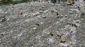 aereo Visualizza di un' città cumulo di rifiuti centro pieno di spazzatura. mandria di mucche mangiare spazzatura nel un' discarica. ecologia e Salute questioni. video