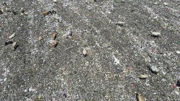 Aerial view of a city dump center full of trash. Herd of cows eating garbage in a landfill. Ecology and health issues. video