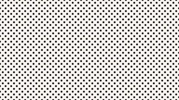 black polka dots over sea shell background vector
