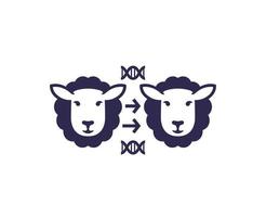 cloning icon with a sheep on white vector