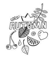 Autumn illustrations doodle drawn on white background. Black word autumn, heart icon, orange slice, leaf's, cherry, crown. vector