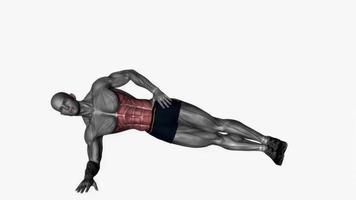 Side plank fitness exercise workout animation video male muscle highlight 4K 60 fps