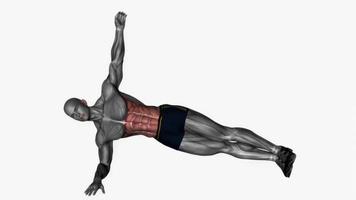 Plank reach through fitness exercise workout animation video male muscle highlight 4K 60 fps