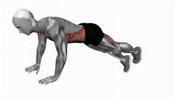 Alternate single leg raise plank fitness exercise workout animation video male muscle highlight 4K 60 fps