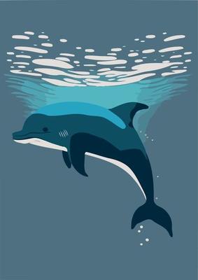 marine animal dolphin diving under the sea