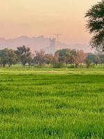 Landscape view of Mountains and trees green field and mountains photo