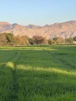 Landscape view of Mountains and trees green field and mountains photo