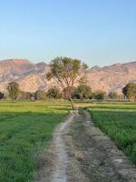 Landscape view of Mountains and trees green field and mountains photo