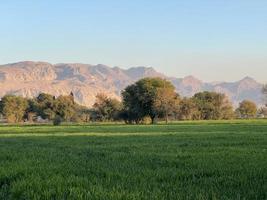 Landscape view of Mountains and trees green field and mountains photo