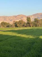Landscape view of Mountains and trees green field and mountains photo