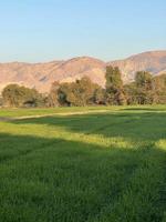 vista del paisaje de montañas y árboles campo verde y montañas foto