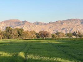 Landscape view of Mountains and trees green field and mountains photo