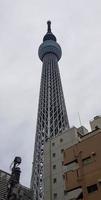 Tokyo, Japan in July 2019. Tokyo Sky tree formerly New Tokyo Tower is a broadcast, observation and restaurant tower in Sumida photo