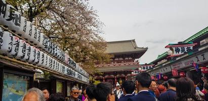 Tokyo, Japan in July 2019. Visitors on vacation to senso ji temple. photo