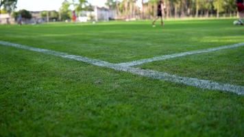 jeunes joueurs de football dynamiques s'entraînant ensemble sur le terrain de sport recouvert d'herbe. vue de dessous. mise au point sélective. video