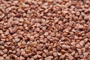 close up of buckwheat seed photo