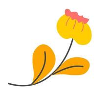 Flower in blossom, blooming wildflower vector