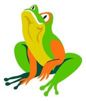 Tropical frog, exotic wildlife reptile animals vector