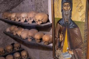 many skulls are human laid out in rows on the shelf and icon photo