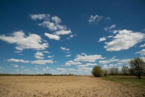 beautiful landscape of blue sky with clouds and field in Ukraine photo